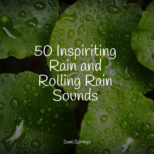 50 Inspiriting Rain and Rolling Rain Sounds