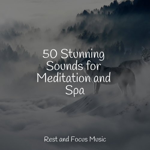 50 Stunning Sounds for Meditation and Spa