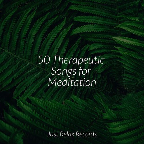 50 Therapeutic Songs for Meditation