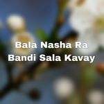 Bala Nasha Ra Bandi Sala Kavay