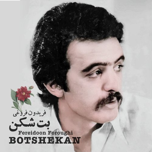 Botshekan_poster_image