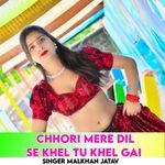 Chhori mere dil se khel tu khel gai