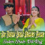 Da Trorey Lorey Bewafa Showe