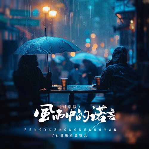 风雨中的诺言 (Djbanan对唱版)_poster_image