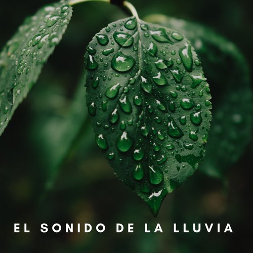 Música Melódica cover art