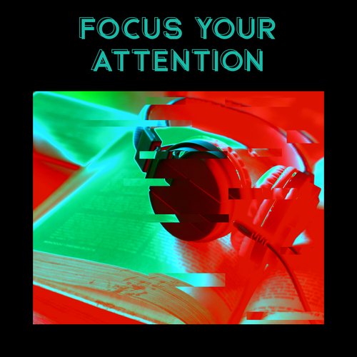 Focus Your Attention