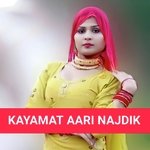 Kayamat aari najdik