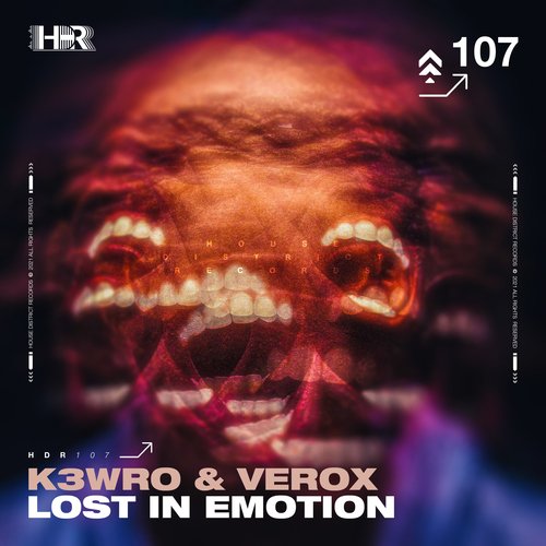 Lost In Emotion_poster_image