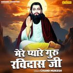 Mere Pyare Guru Ravidas Ji