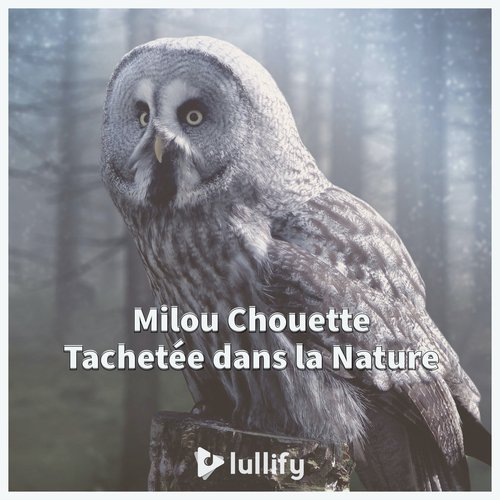Soirée avec des oiseaux cover art