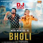 Mithi Mithi Bol Ke Bholi (Dj Remix)