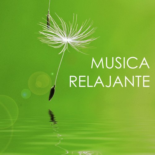 Musica para Relajarse Profundamente cover art
