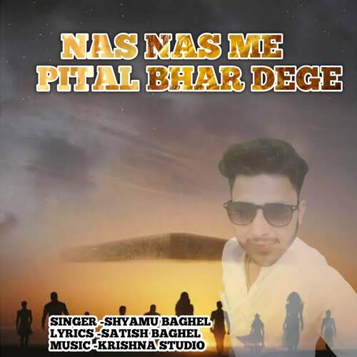 Nas Nas Me Pital Bhar Dege