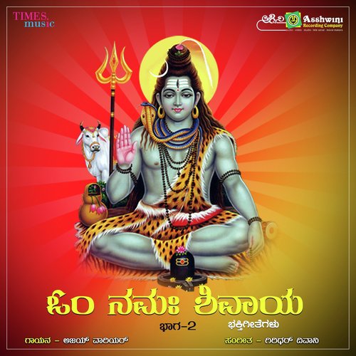 Om Namaha Shivaya