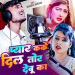 Payar Kake Dil Tor Debu Ka