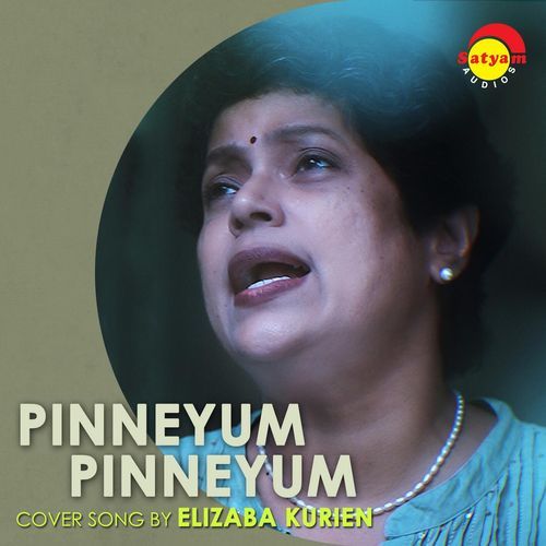 Pinneyum Pinneyum (Recreated Version)_poster_image