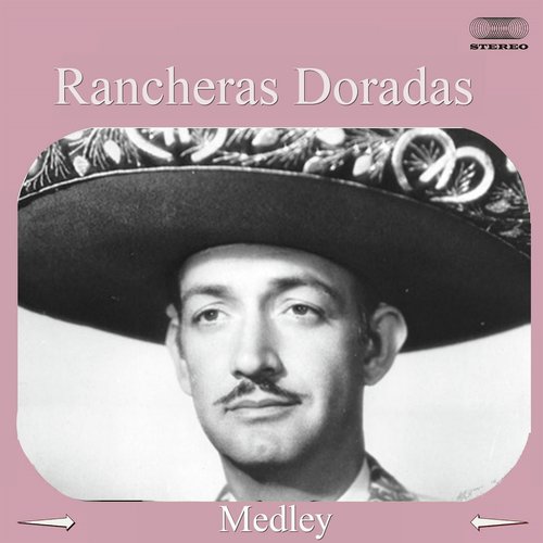 Rancheras Doradas Medley: El Rey / Volver, Volver / La Malagueña / Cucurrucucu Paloma / Pa&#039; Todo el Año / Amor con Amor se Paga / No Volveré / Te Solòté la Rienda / Paloma Negra / Rogaciano / Viejos Amigos / Esta Tristeza Mia / Vieja Carta / Palom..._poster_image