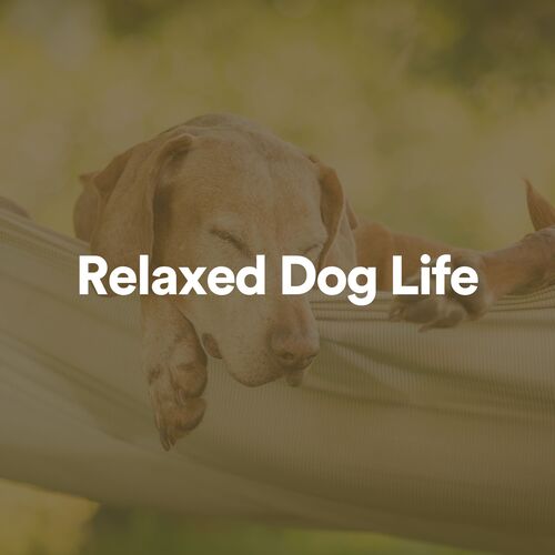 Relaxed Dog Life_poster_image