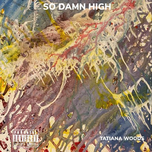 So Damn High_poster_image