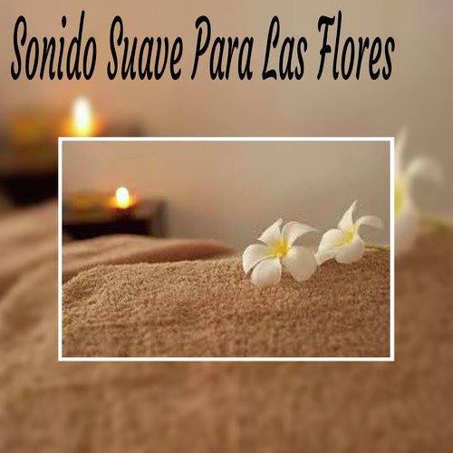 Regeneración de la Nube cover art