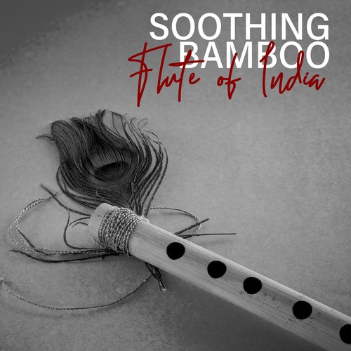 Bansuri Flute cover art