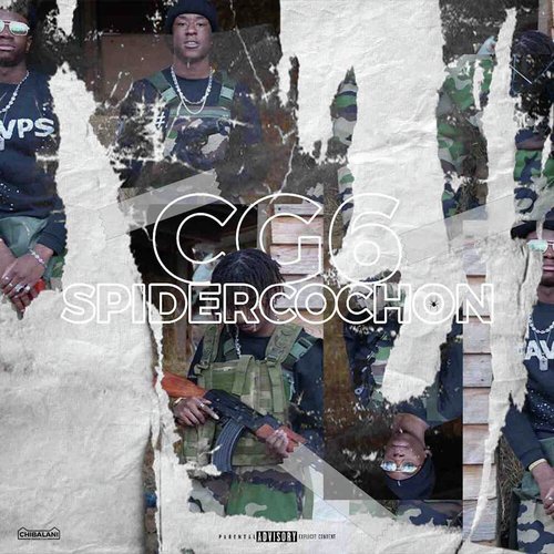 Spider cochon cover art