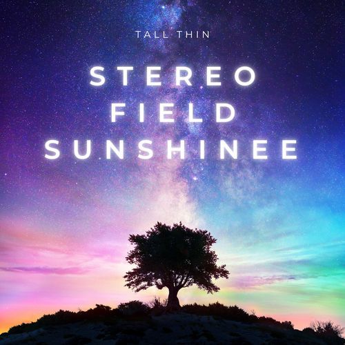 Stereo Field cover art