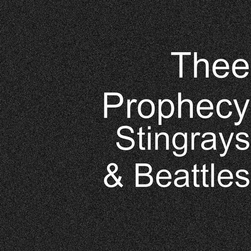 Stingrays & Beattles