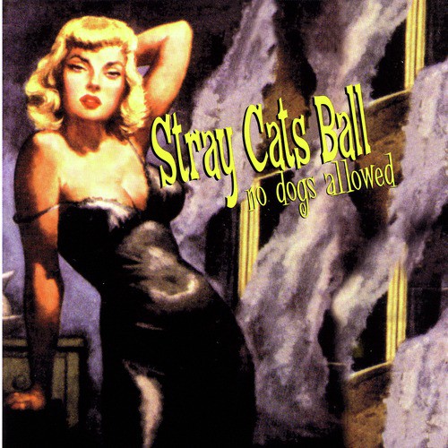 Stray Cats Ball, No Dogs Allowed