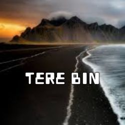 Tere Bin