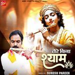 Tere Bina Shyam