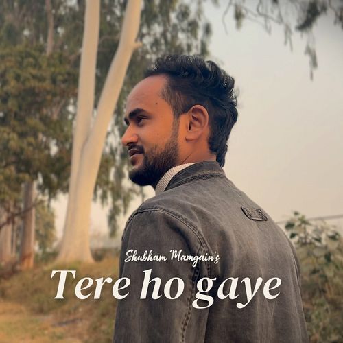 Tere Ho Gaye