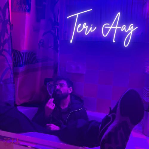 Teri Aag