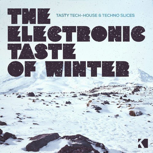 The Electronic Taste of Winter (Tasty Tech-House & Techno Slices)