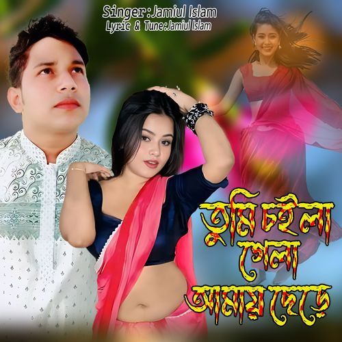 Tumi caila gela amaya cheṛe