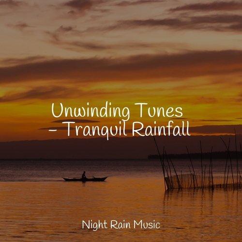 Unwinding Tunes - Tranquil Rainfall_poster_image