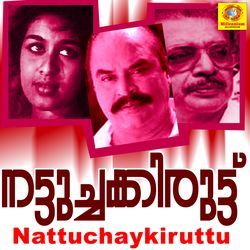 Veena Maniveena (From &quot;Nattuchaykiruttu&quot;)-MgAsVx8HXlo