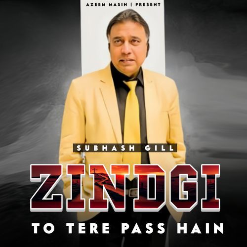 ZINDGI TO TERE PASS HAIN