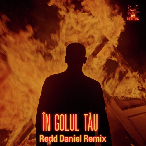 În Golul Tău (Redd Daniel Remix)