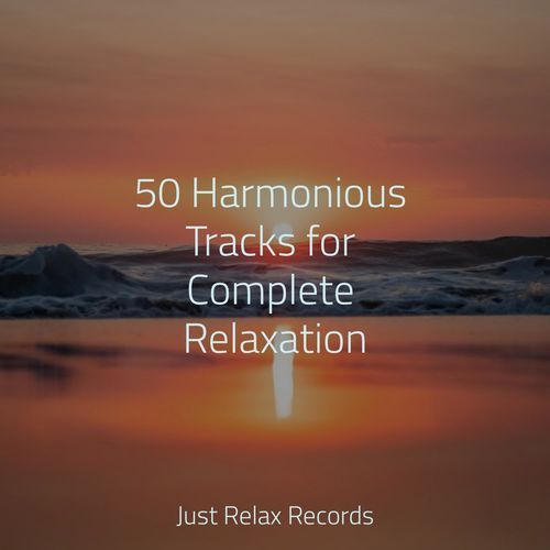 50 Harmonious Tracks for Complete Relaxation_poster_image