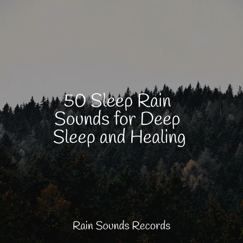 50 Sleep Rain Sounds for Deep Sleep and Healing