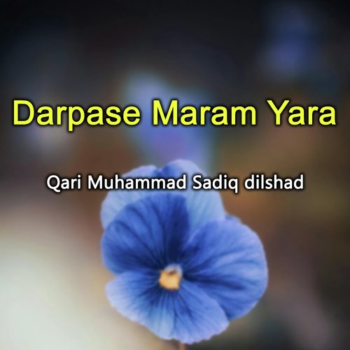 Darpase Maram Yara