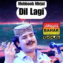 DIYON THA TEELI TEEL MEIN