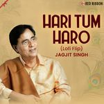 Hari Tum Haro Lofi Flip