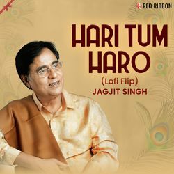Hari Tum Haro Lofi Flip