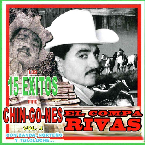 Los 15 Exitos Mas Chingones, Vol. 4