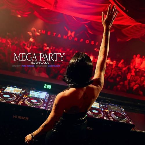 Mega Party