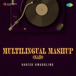 Multilingual Mashup (Sad)