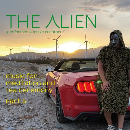 Music for Meditation and Tea Ceremony, Pt. 5