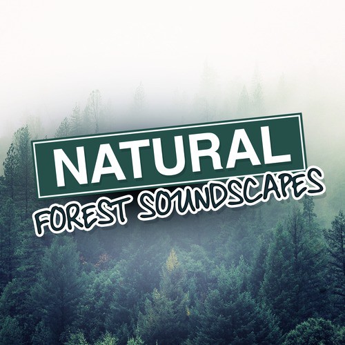Water Source cover art